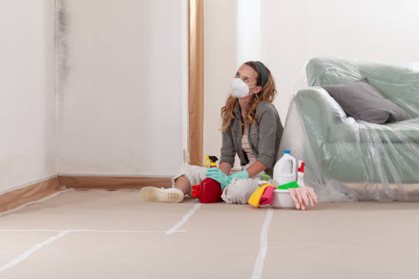 Reliable Mold Remediation contractor in Soap Lake, WA by 24 Hour Mold Removal